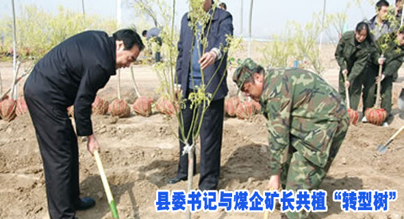 县委书记与煤企矿长共植&ldquo;转型树&rdquo;