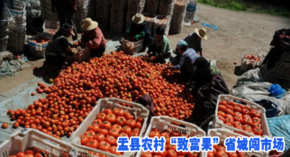 盂县农村&ldquo;致富果&rdquo;省城闯市场