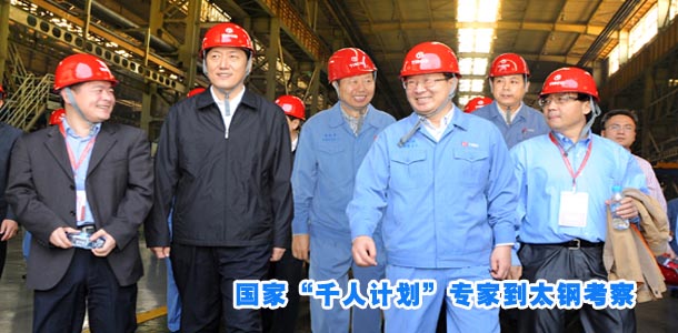 国家&ldquo;千人计划&rdquo;专家到太钢考察